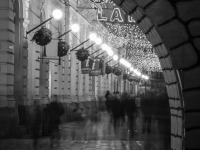 timisoara-by-night-003